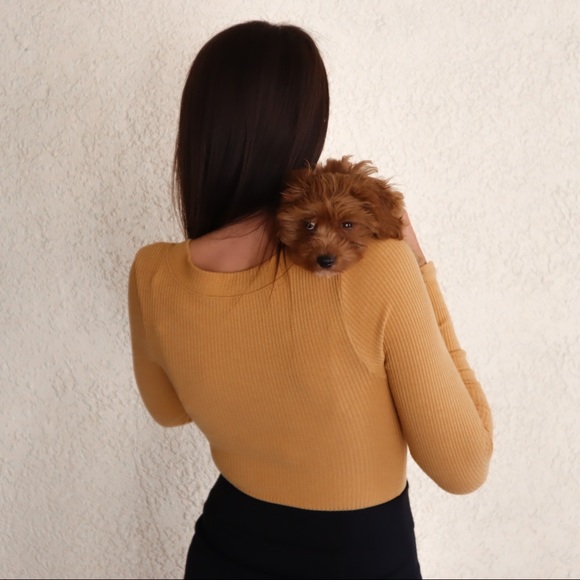 Free People Up All Night Golden Yellow Bodysuit - Picture 6 of 14